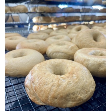 Jacobs Plain Bagels